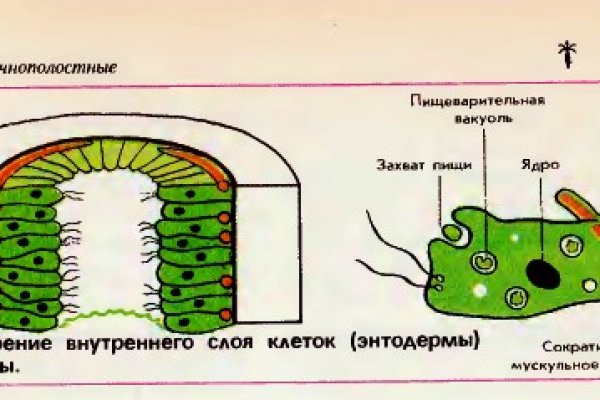 Кракен ссылка kraken